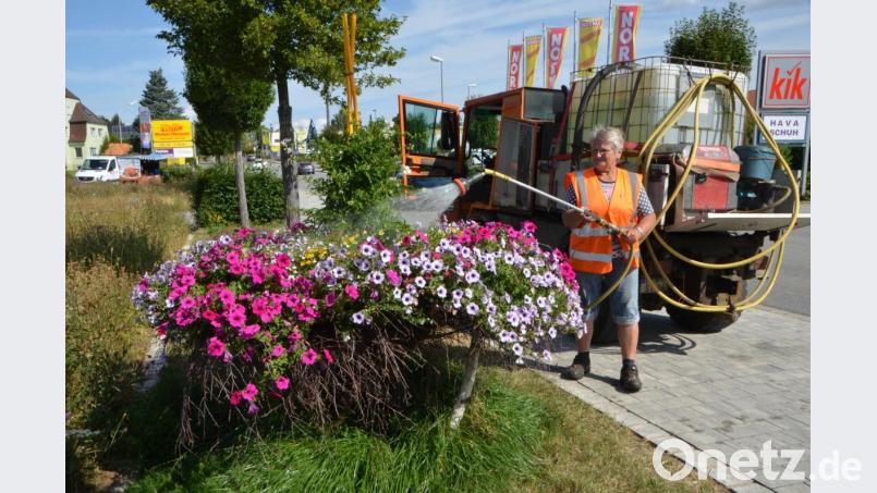 Grün- und Blumenanlagen prägen das wunderschöne Ortsbild von Vohenstrauß. Für die Bewässerung greift die Kommune, in diesem Fall ist es die städtische Mitarbeiterin Edeltraud Schmidt, auf Brauchwasser zurück. Bild: dob