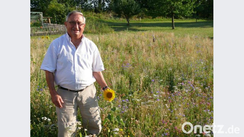 Glücklich zeigt Simon Lacher seine neu angelegte Wildblumenwiese. Bild: ga