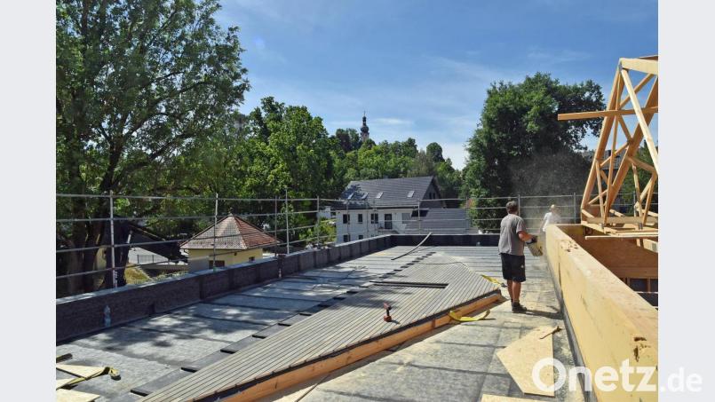 Dieser Bereich des Gärtnerei-Daches wird mit Pflanzen begrünt. Bild: Andreas Royer