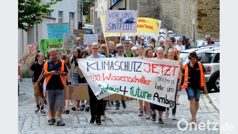Demonstranten ziehen durch die Amberger Innenstadt. Die “Fridays for Future“-Ortsgruppe hat bereits fünf Demonstrationen organisiert. Bild: Stephan Huber