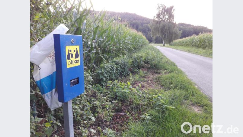 Als Provisorium hängt schon mal eine Abfalltüte am Beutelspender für Hundekot. Eigentlich müssten die Hundebesitzer ihre Sackerl im Hausmüll entsorgen. Bild: bl