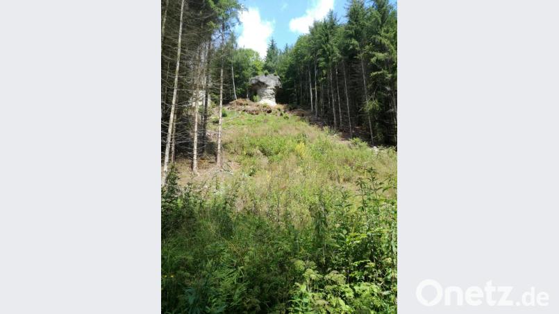 Naturdenkmäler wie dieser Parasolfelsen säumten die Route der Fahrrad-Ausflügler des Motorsportclubs Hirschbach. Bild: rrd