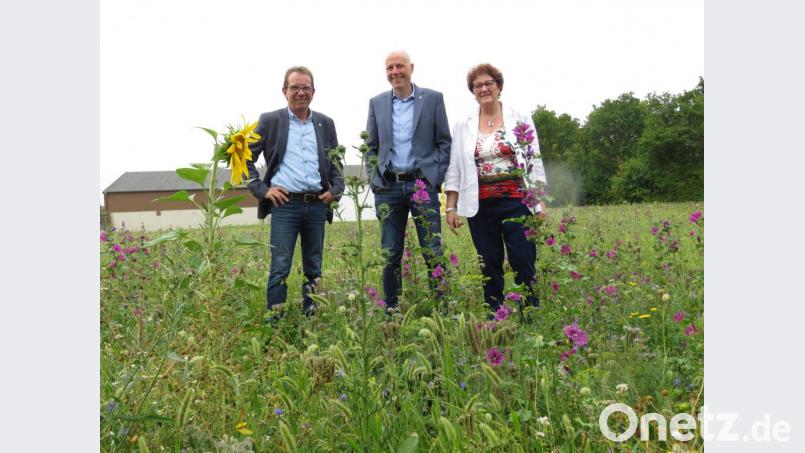 Endlich hat's geregnet. Prokurist Wolfgang Horn, Inhaber Jörg Kulzer und Seniorchefin Lieselotte Kulzer (von links) freuen sich, dass auf einer ungenutzten Wiese nahe des Zentrallagers die Blühfläche gedeiht. Bild: ubb