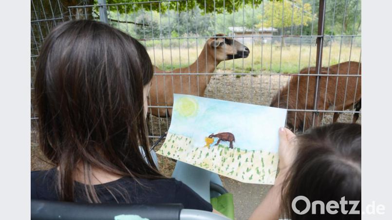 Die Ferienprogramm-Kinder nehmen die Tiere im Tierpark Gleitsbachtal genau unter die Lupe. Bild: Gabi Schönberger