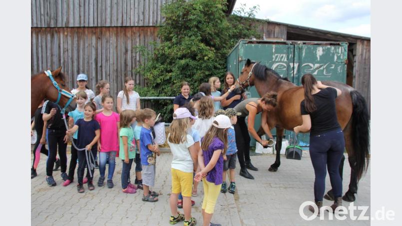 Zunächst schauten die Kinder bei der Pferdepfleg nur zu, dann durften sie selbst Hand anlegen. Bild: frd