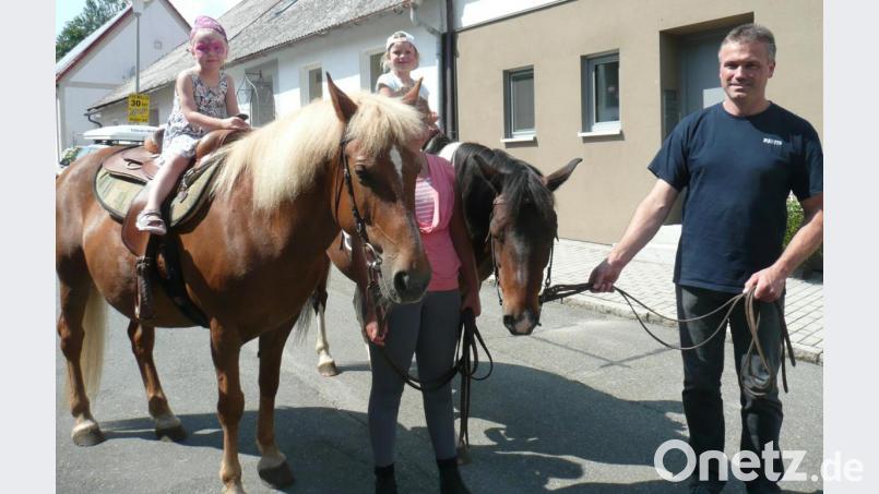 Die Pferde von Martin Biegerl mussten so manche Runde drehen. Bild: amö