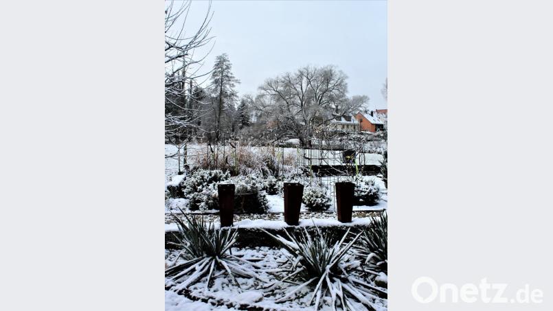 Der Garten von Christine Böhm funktioniert sommers wie winters. Bild: mvs