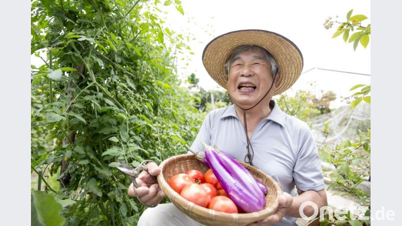 „Ikigai“ ist Japanisch und bedeutet so viel wie Lebenswert („iki“ für „Leben“ und „gai“ für „Wert“). Frei übersetzt: „Das, wofür es sich zu leben lohnt.“ Auch gutes Essen gehört dazu. Bild: kazoka303030 – stock.adobe.com