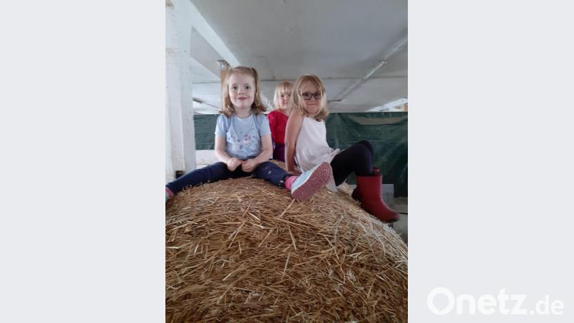 Die Kinder durften auch im Stroh spielen. Bild: exb