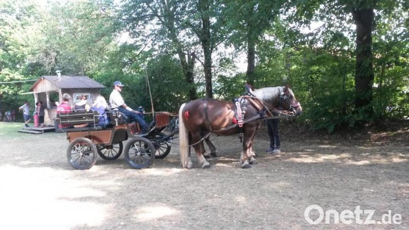 Geduldig warten die Pferde, um die Gäste in der Kutsche durchs Dorf zu fahren. Bild: sl