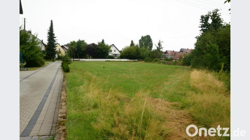 Die noch bestehende Grünfläche wird das Baugebiet &quot;Tulpenweg&quot;. Auf der rechten Seite, angrenzend an den vorhandenen Hang, wird die Erschließungsstraße gebaut und nach jetzigem Stand als Einbahnstraße von Süden (unterer Bildrand) nach Norden (oberer Bildrand) ausgewiesen. Bild: bey