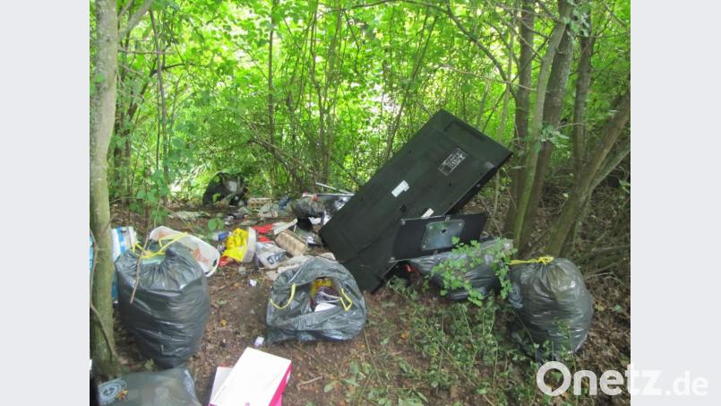 Hausmüll jeder Art und als Krönung drei alte Fernsehgeräte: Den Sünder erwartet ein saftiges Bußgeld. Bild: Polizei Sulzbach-Rosenberg
