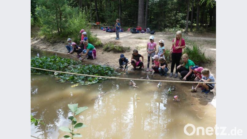 Start zur "Segelregatta" im Stadtwald. Bild: rn