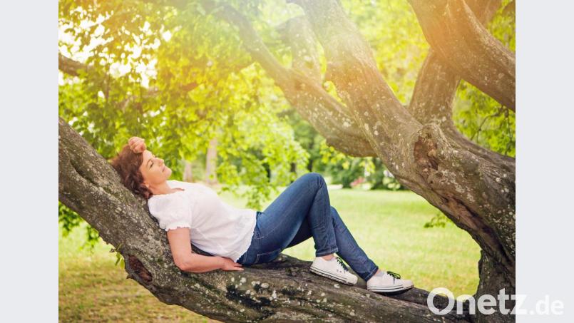 Über 80 Prozent der Teilnehmer einer McKinsey-Studie zum Thema „Digitalisierung in deutschen Haushalten“ wollen sich öfter einfach mal ausruhen und nichts tun. Bild: Patrizia Tilly – stock.adobe.com