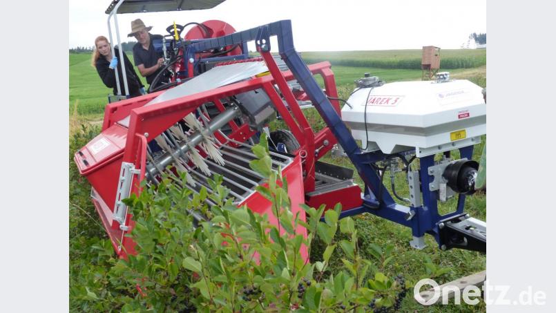 Monika und und ihr Vater Josef Bernhard stehen auf der neuen Maschine, die zum ersten Mal zum Einsatz kam, um die gefüllten Körbe zu leeren Bild: sl