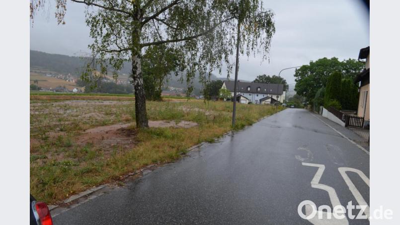 Links von der Weidener Straße wurde Baurecht für fünf Bauplätze geschaffen. Bild: fz