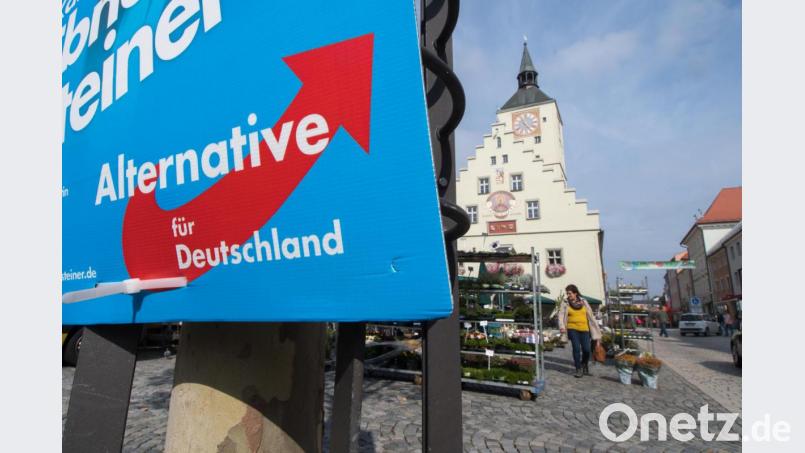 Eine Aktion der Deggendorfer AfD bei Facebook hat 257 Ermittlungsverfahren und drei Anklagen wegen Volksverhetzung nach sich gezogen. Bild: Armin Weigel/dpa