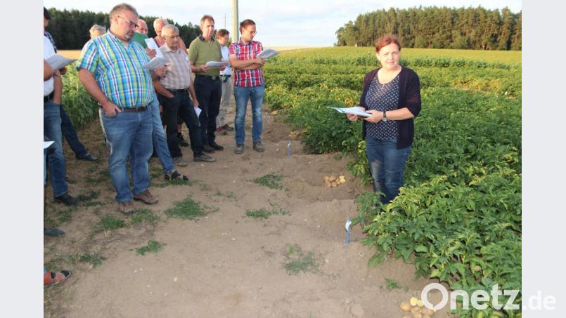 Theresia Addokwei (rechts) vom Amt für Landwirtschaft Regensburg erklärt den Kartoffelbauern die Vor- und Nachteile der einzelnen Sorten. Bild: ral