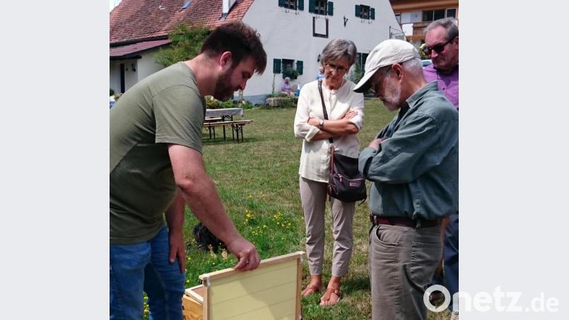 Imker Hermann Sehr aus Kastl hatte einen Bienenstock in die Blumenwiese des Heimatmuseums gestellt und erklärte Besuchern alles Wissenwerte rund um die Imkerei. Bild: exb