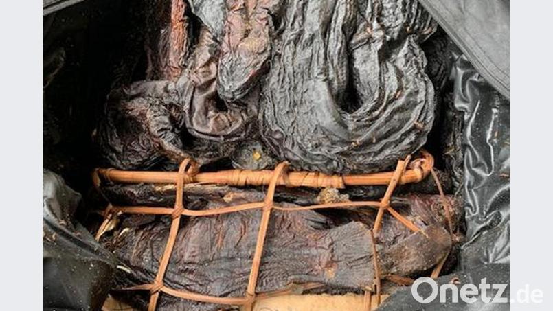 Getrocknete Schlangen und Fische befinden sich in einer geöffneten Tasche. Foto: Bundespolizei/Archiv Bild: Bundespolizei