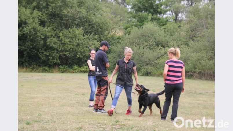 Gehorsam ist besonders gefragt, wenn sich der Hundebesitzer mit seinem Vierbeiner entspannt durch Menschenmengen bewegt. Das und vieles wird beim Hundesportverein Hirschau trainiert. Bild: ads