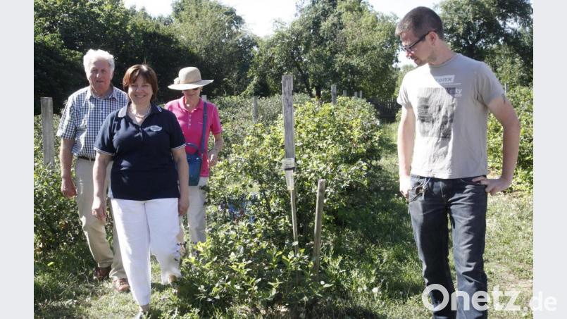 Ziel der Pilgergruppe war der Mulzer-Hof in Naabsiegenhofen. Rita Mulzer (Zweite von links) führte die Teilnehmer über die Heidelberg-Felder. Bild: Hirsch