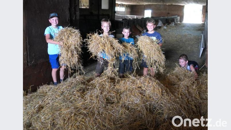 Spaß am Bauernhof im Stroh Bild: fvo