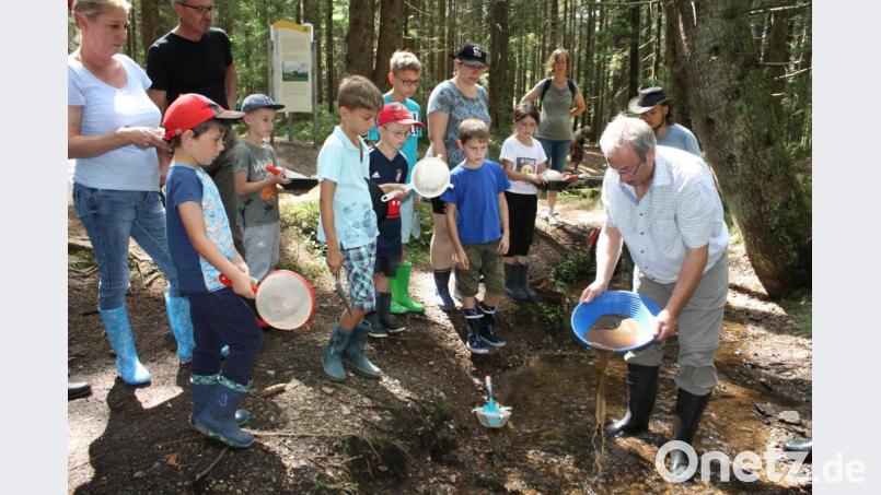 Auf der Suche nach Gold schwenkt Karlheinz Pieper (rechts) die mit Sand und Kies gefüllte Waschpfanne. Gespannt verfolgen die Teilnehmer den Vorgang des Auswaschens der Sedimente. Bild: lg