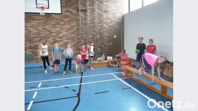 Einen anspruchsvollen Parcours hatten die Verantwortlichen des WSV in der Turnhalle aufgebaut. Bild: amö