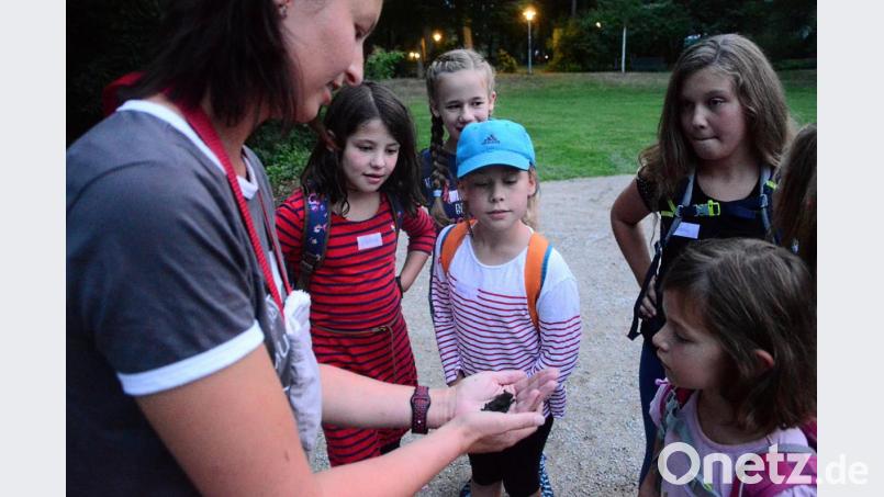 Fledermaus-Expertin Melanie Döppl zeigt den Exkursionsteilnehmern eine lebendige Zwergfledermaus. Bild: Kunz