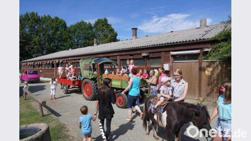 Spaß am Bauernhof Bild: fvo