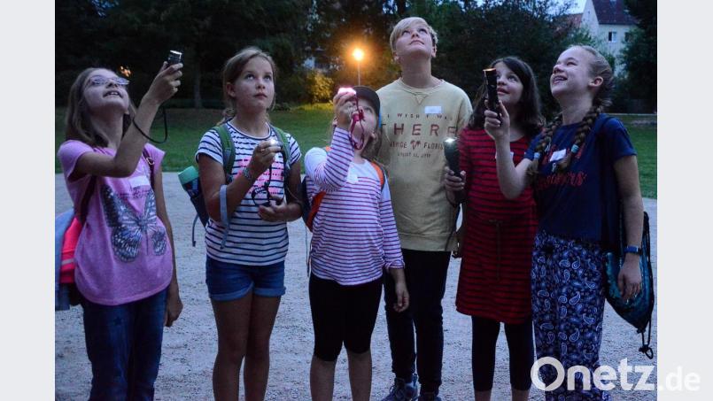 Mit Taschenlampen ausgerüstet machen sich die Kinder auf zur Fledermausexkursion. Bild: Kunz
