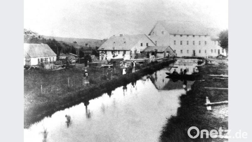Repro Peugenhammer Bild: tu