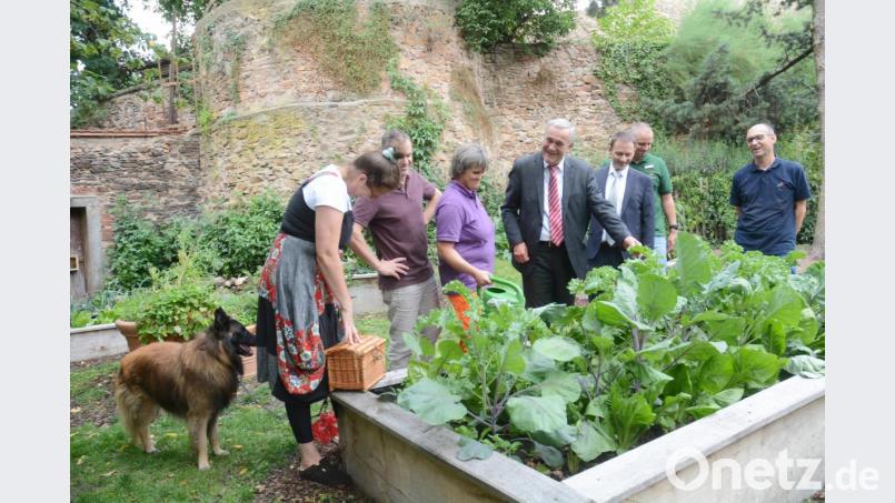 Zum Start der Erntesaison hat Oberbürgermeister Kurt Seggewiß (Vierter von rechts) in den städtischen Garten an der Stadtmauer eingeladen. Die Hochbeete bescheren reiche Beute zum Nutzen der Bürger wie Angelika Michel (links). Bild: Gabi Schönberger