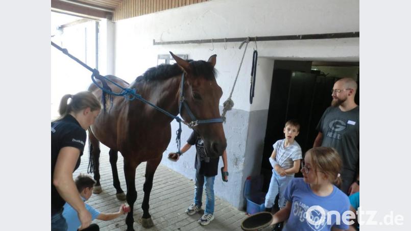 Bei Daniela Schuh (links) lernten die Kinder die richtige Pflege eines Pferdes. Bild: exb