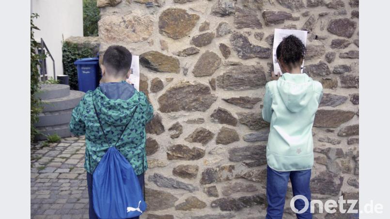 Vier Seiten Fragebogen müssen beantwortet werden. Bild: phop