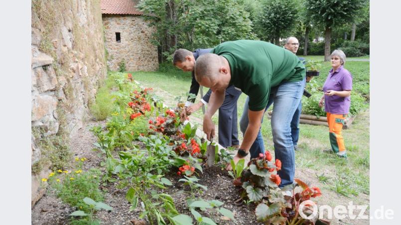 Pflanzaktion im städtischen Obst- und Gemüsegarten. Bild: Gabi Schönberger