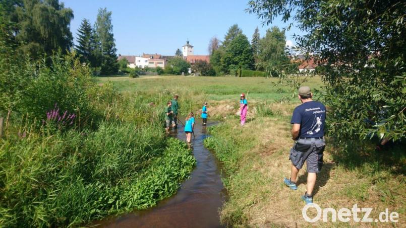 Den Auslauf des Stadtteichs im Fischhofpark in die Waldnaab, reinigten die Jugendlichen des FVS. Bild: tr