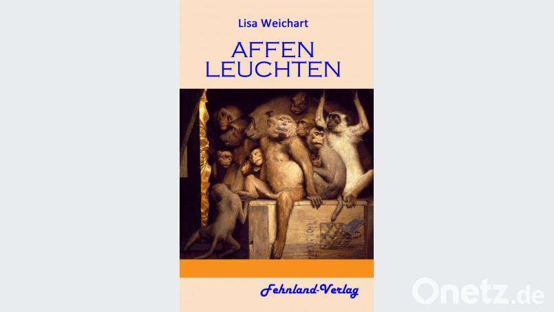 Der Roman "Affenleuchten" von Lisa Weichart ist im Fehnland-Verlag erschienen. Bild: exb