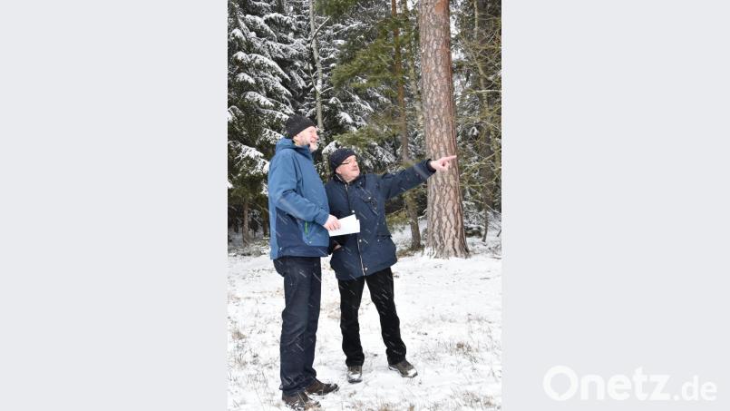 Die Bundespolizisten (von links) Reinhold Balk und Xaver Beer (im Ruhestand) stehen am Waldrand bei Egerteich. In westlicher Richtung sind es 600 Meter bis Egerteich. Hinter ihnen im Wald verläuft nach etwa 400 Metern die tschechische Grenze. Genau an dieser Stelle spielte sich vor 50 Jahren das Drama ab. An den Bäumen fanden sich Einschusslöcher. Bild: ca