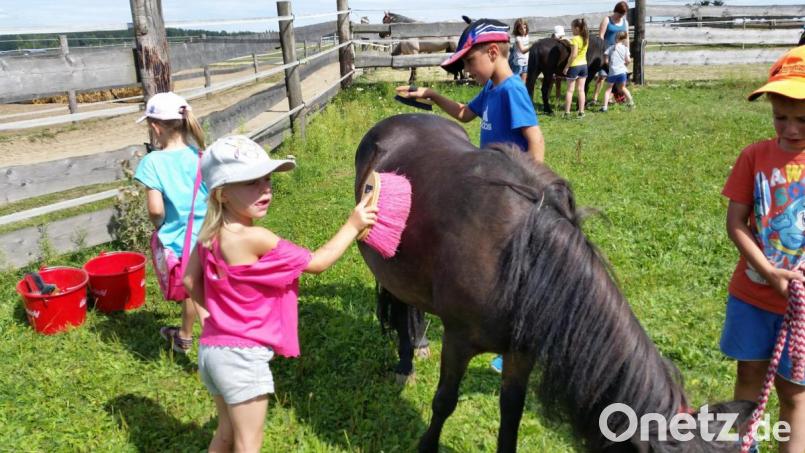 Ferienprogramm Bild: buc