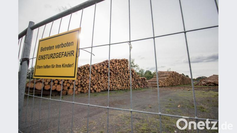 Holzlager in Wiesau Bild: dtr