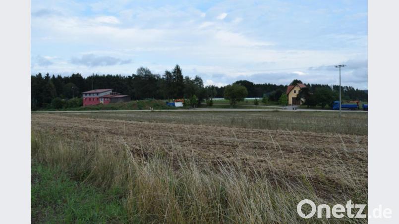Gegenüber Sportplatz und Feuerwehrhaus soll das neue Baugebiet "Weidenthal-Hütanger Nord" erschlossen werden. 17 Bauparzellen sind in Planung. Bild: bnr