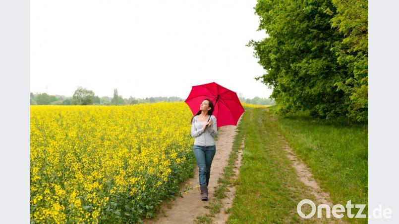 Ein Spaziergang ist nicht nur eine wunderbare Möglichkeit, den Kopf frei zu bekommen oder in Ruhe neue Ideen zu entwickeln, sondern er ist außerdem extrem stimmungsfördernd – gerade im Regen. Bild: luna – stock.adobe.com