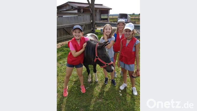 Ferienprogramm Bild: buc