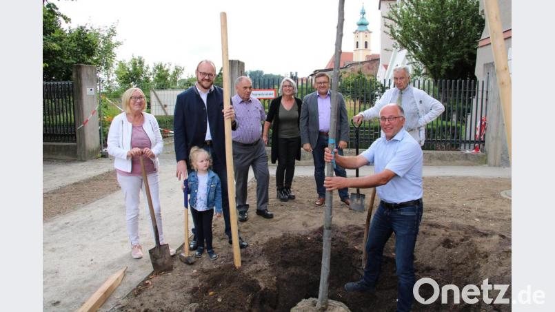 Mit der Silberlinde pflanzt der Vorstand des Kreisverbandes für Gartenbau und Landespflege mit Albert Nickl (vorne) an der Spitze sehr zur Freude von Landrat Andreas Meier (Dritter von links) einen Zukunftsbaum, der den veränderten Klimabedingungen trotzen soll. Bild: prh