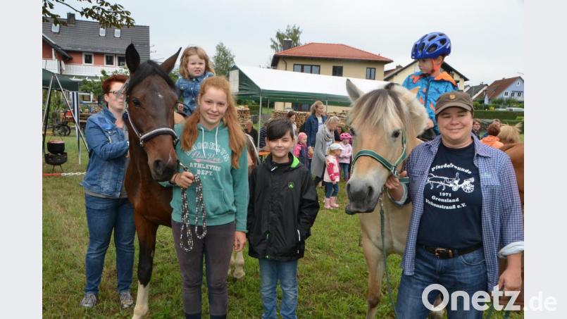 „Pony“ das irische Sportpferd von Lilly Schaber aus Weiden lässt die dreijährige Charlotte aufsitzen und dreht gemütlich ihre Runden (links). Die Norweger Fjordstute „Henni“ machte ihre Aufgaben sehr gut und Sabine Hofbauer aus Weiden war mehr als zufrieden mit dem Tier (rechts). Bild: dob