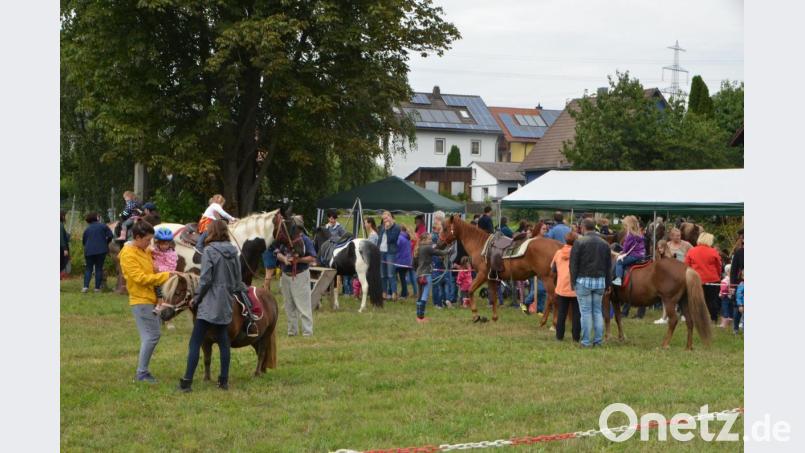 Auf dem Gelände unterhalb des SV-Fußballplatzes war am Feiertag so einiges Tierisches geboten. Bild: dob