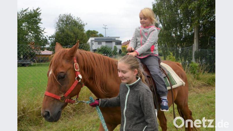 Waterhorse-Pferd "Sunny" trägt die siebenjährige Madlen sicher auf ihrem Rücken. Bild: dob
