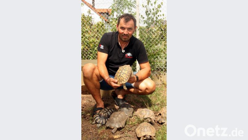 Josef Meißner mit dem Muttertier und einigen Tieren im Freigehege. Bild: zer